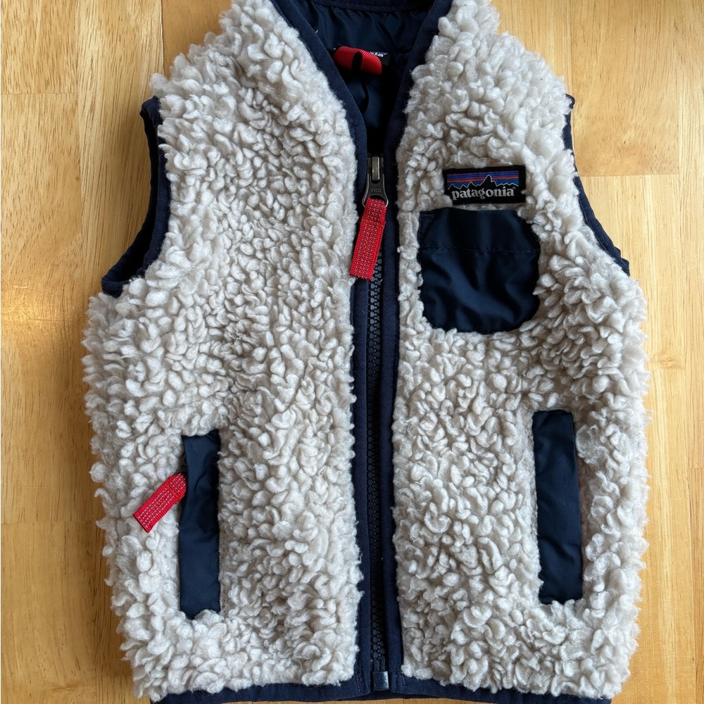 Patagonia Blue Fleece Vest